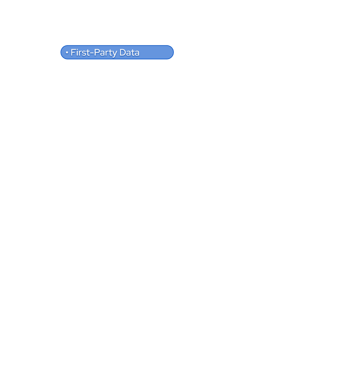 First-Party Data